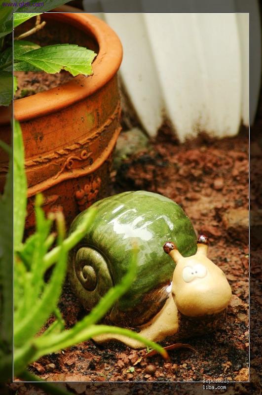 花园里的蜗牛.jpg