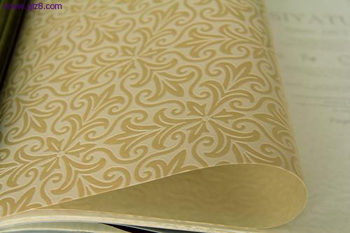 250-3 (5)_副本.jpg