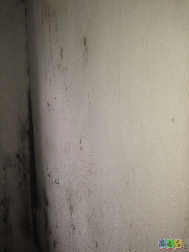 照的不太好看，这是拉毛后的墙，隐约两个出水口，以后的花洒就在这里了