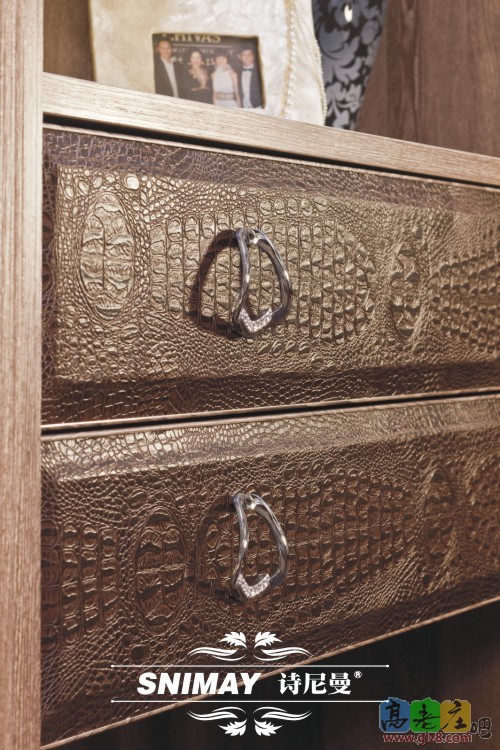 D调奢华棕 拉手.jpg