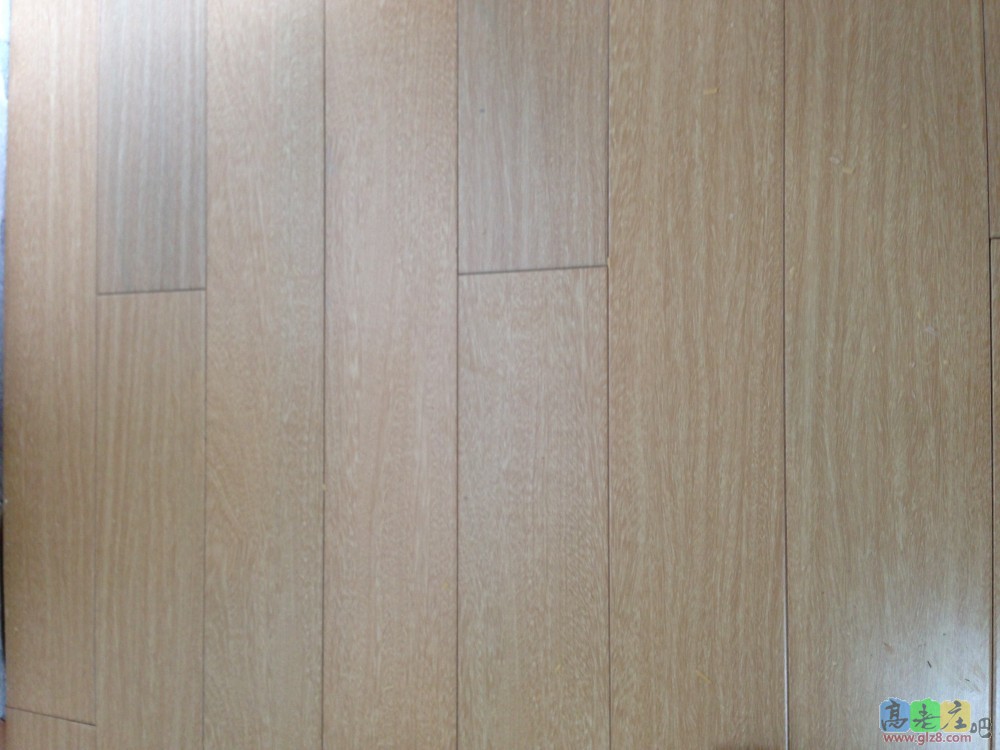 2014-08-17 123722.jpg