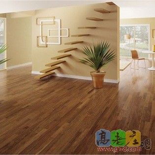 8e811021029543a5_3896-w315-h315-b0-p0--modern-wood-flooring.jpg