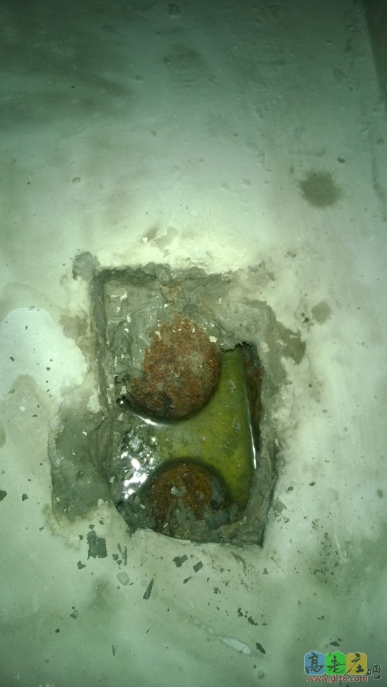 就这个鸟样，怎么办啊。