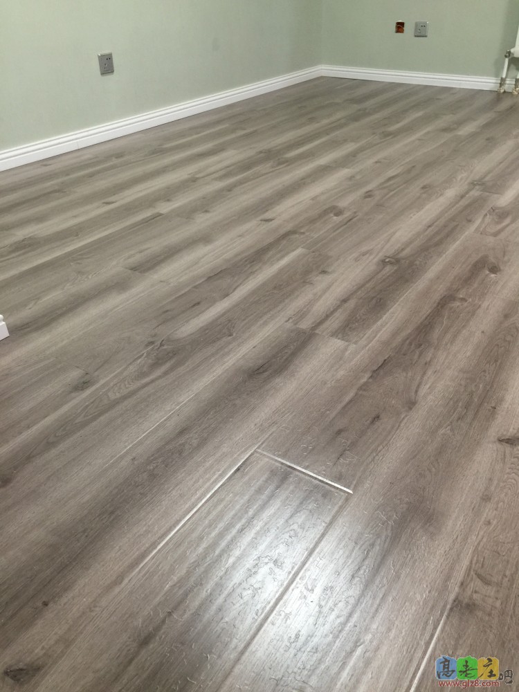 地板IMG_1430.JPG