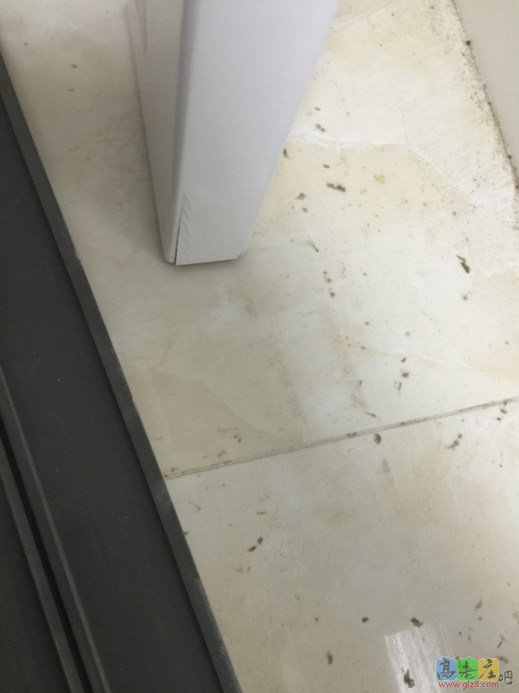 12月20日刚装，12月24由于下水道返水泡了，就裂成这个样子