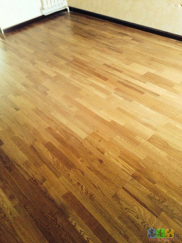 地板4.jpg