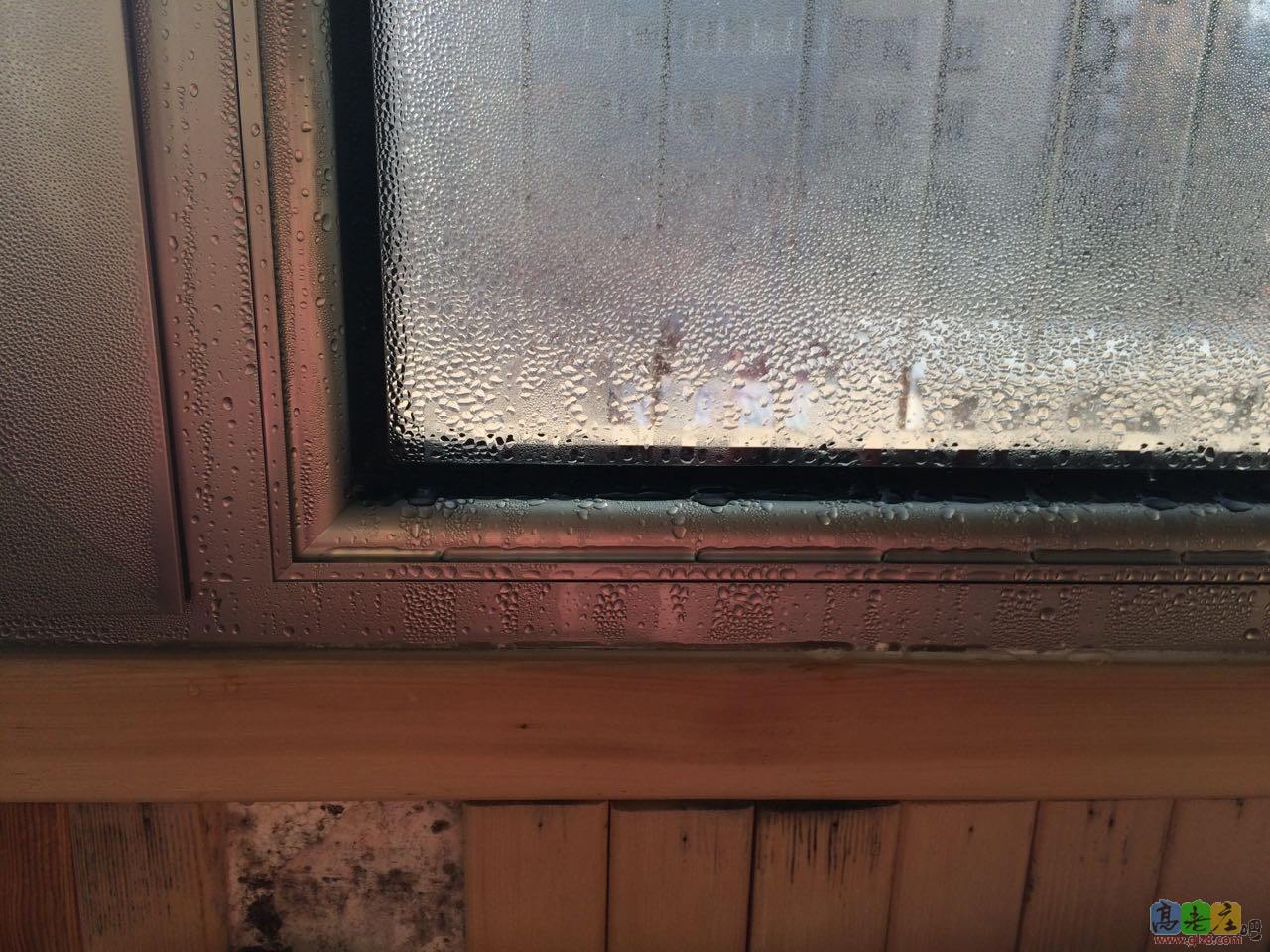 德高黑心厂家！！