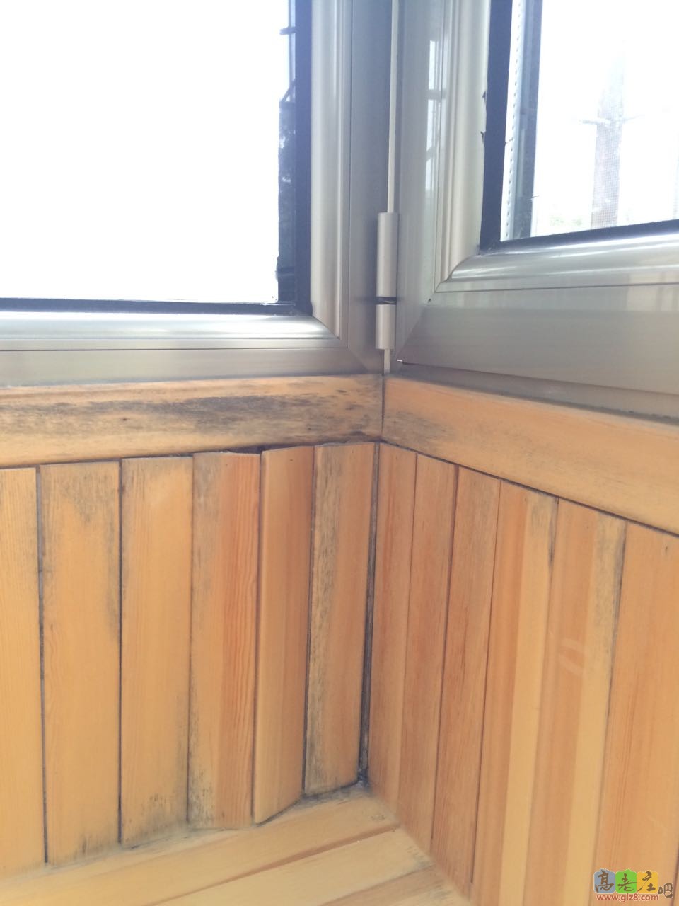 德高黑心厂家！！