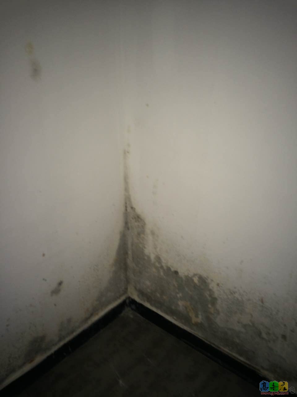 霉变5