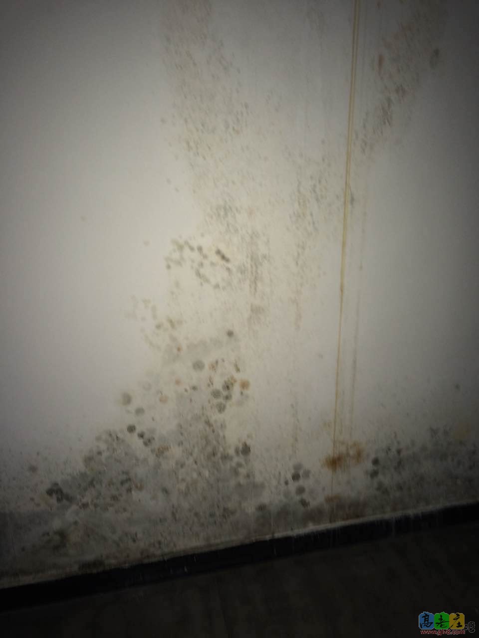 霉变3