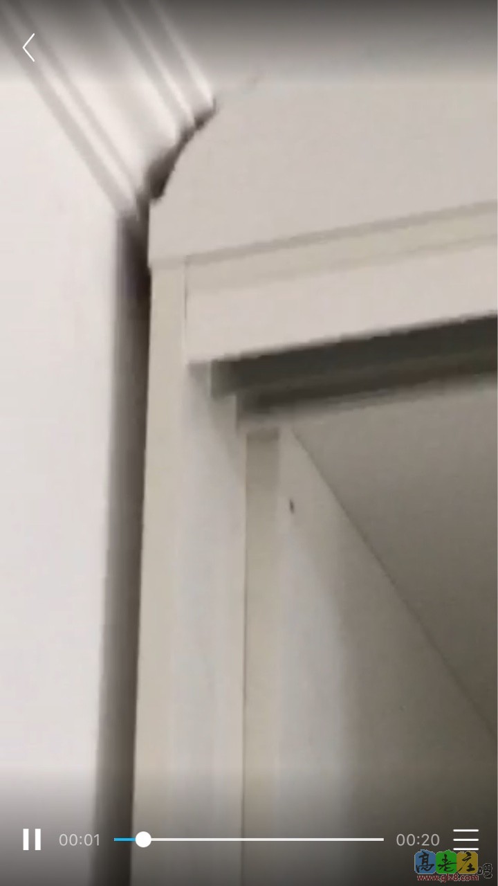 没贴墙，说只能这样，想起了以前我们家狗啃的馒头