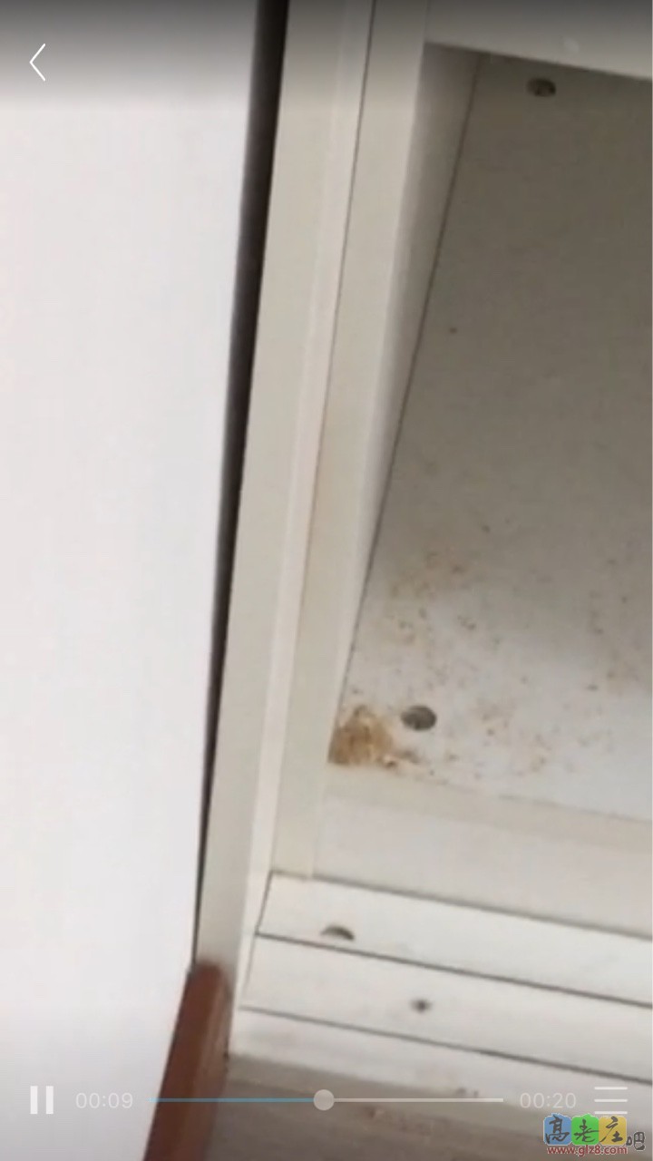 我猜想也许是我墙不平，